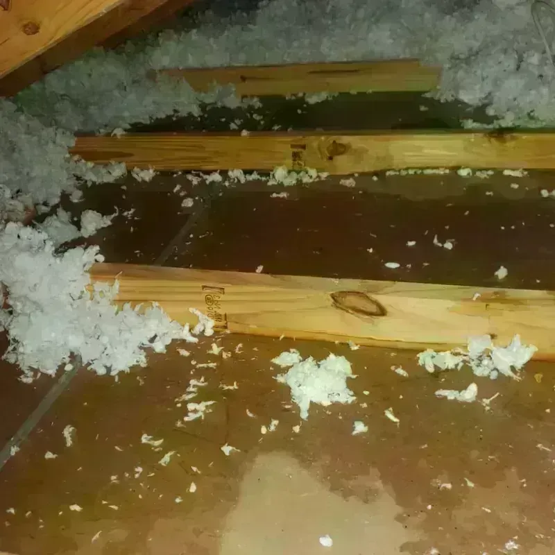 Attic Water Damage in Cumberland County, VA