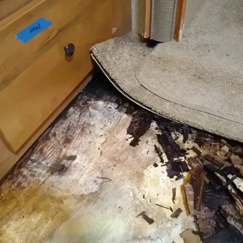 Wood Floor Water Damage in Cumberland County, VA